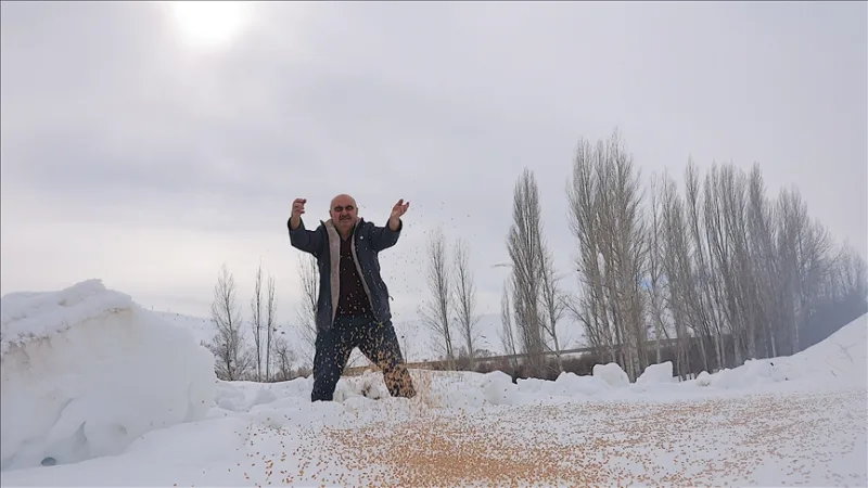 Hij laat in de winter 10 ton graan over aan de natuur zodat 