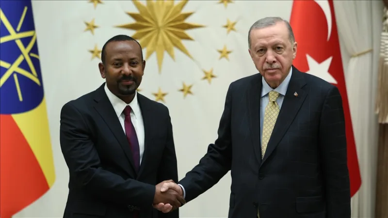 Visite du président Erdoğan en Éthiopie: Nouvel équilibre géopolitique dans la Corne de l'Afrique