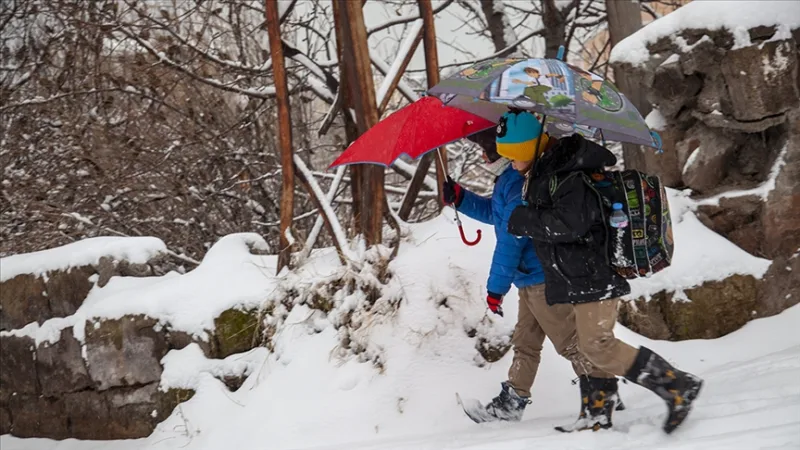 У деяких районах провінцій Хаккарі та Шанліурфа навчання було призупинено на один день