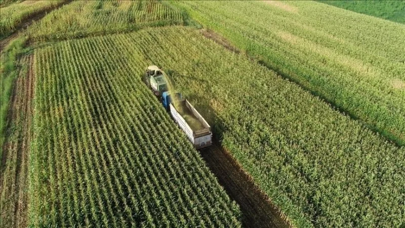 Nustatyti žemės ūkio paskirties žemės apsaugos ir naudojimo principai